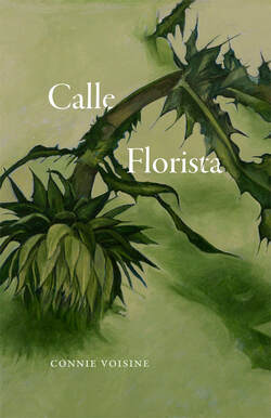 Calle Florista Cover Art